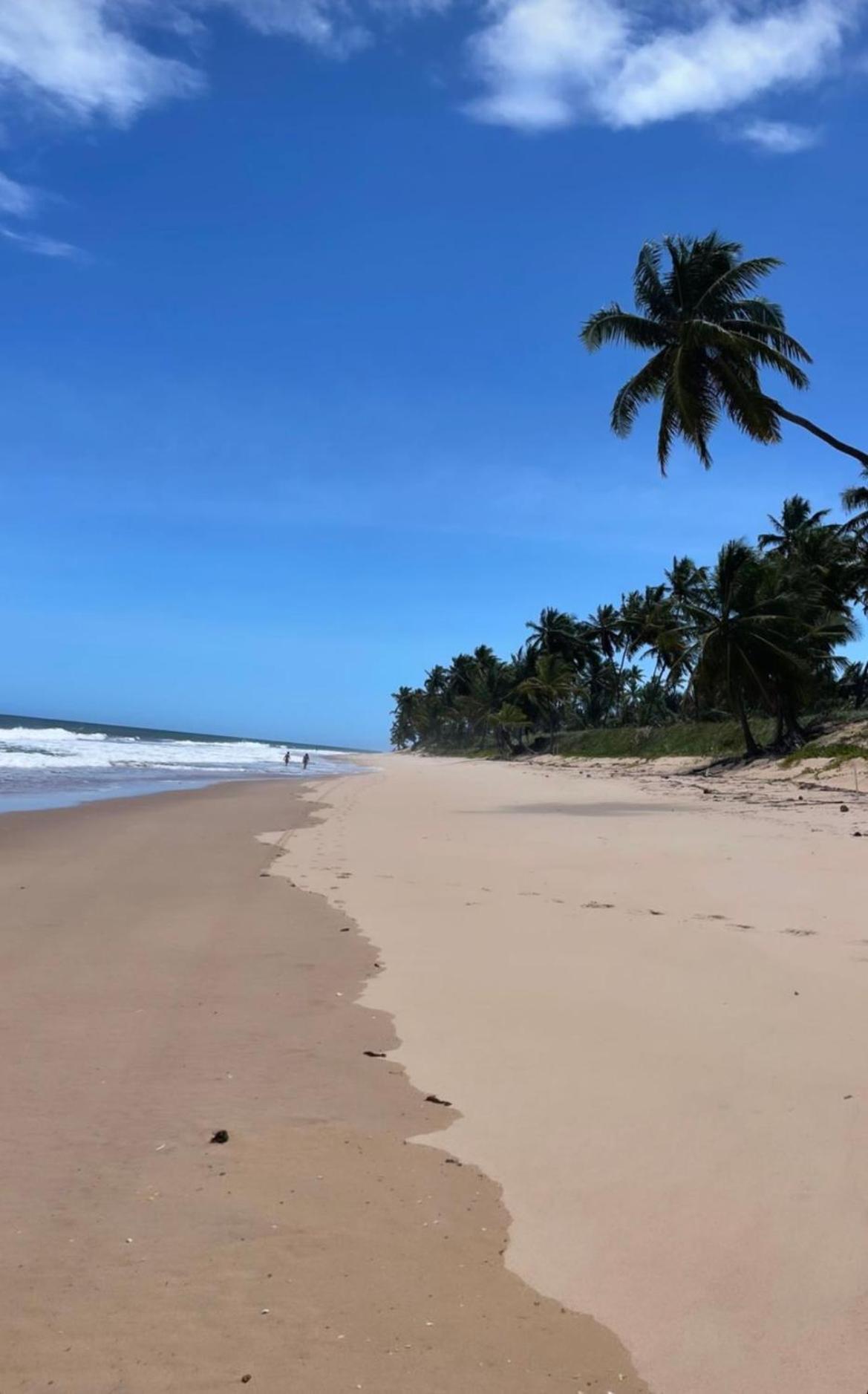 Praia Do Forte Iberostar المظهر الخارجي الصورة
